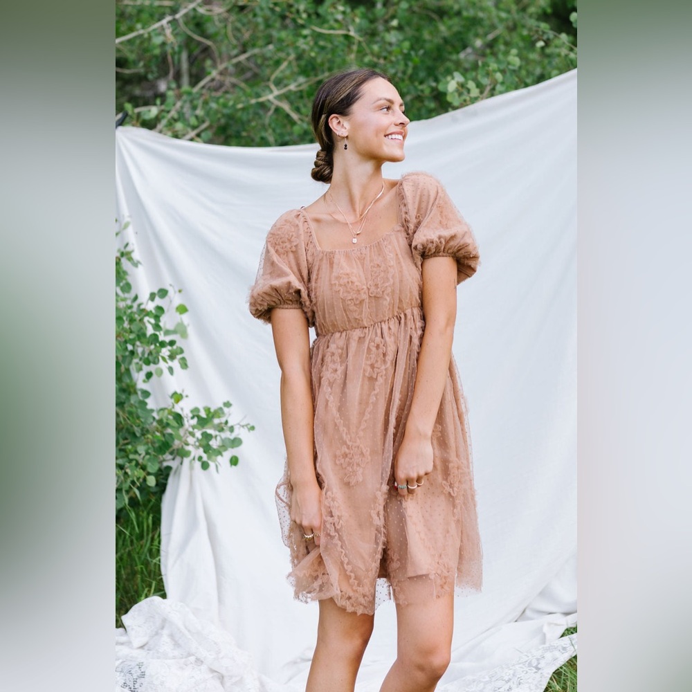 Arula Elegant Brown Lace Dress